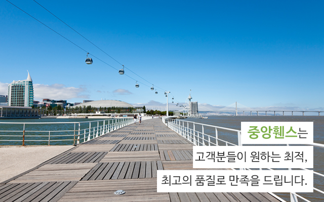 20210422141451_rZ0svbJ2.jpg_carousel_포천양주연천동두천 휀스전문업체_중앙휀스,포천,양주,연천,동두천,가평,철원,메쉬휀스,목재휀스,아트창살휀스,디자인휀스,대문,외문,잔디보호,휀스,디자인,제작,시공,전문업체